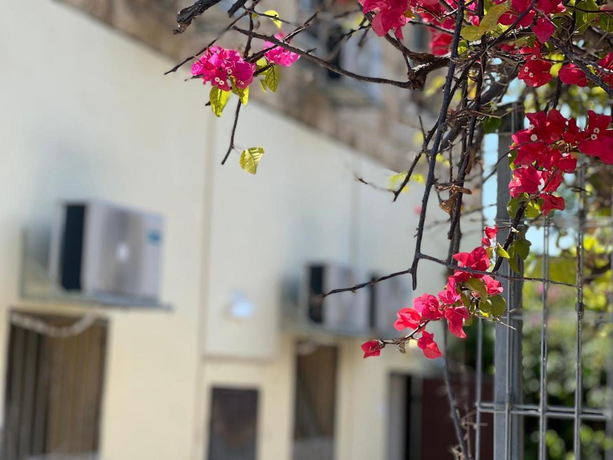 The Lion Hotel Haifa Exterior foto